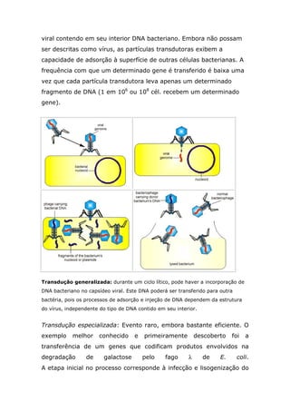 viral contendo em seu interior DNA bacteriano. Embora não possam
ser descritas como vírus, as partículas transdutoras exibem a
capacidade de adsorção à superfície de outras células bacterianas. A
frequência com que um determinado gene é transferido é baixa uma
vez que cada partícula transdutora leva apenas um determinado
fragmento de DNA (1 em 106
ou 108
cél. recebem um determinado
gene).
Transdução generalizada: durante um ciclo lítico, pode haver a incorporação de
DNA bacteriano no capsídeo viral. Este DNA poderá ser transferido para outra
bactéria, pois os processos de adsorção e injeção de DNA dependem da estrutura
do vírus, independente do tipo de DNA contido em seu interior.
Transdução especializada: Evento raro, embora bastante eficiente. O
exemplo melhor conhecido e primeiramente descoberto foi a
transferência de um genes que codificam produtos envolvidos na
degradação de galactose pelo fago λ de E. coli.
A etapa inicial no processo corresponde à infecção e lisogenização do
 
