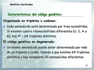 Organizado en tripletes o codones:  Cada aminoácido está determinado por tres nucleótidos. Si existen cuatro ribonucleótidos diferentes (U, C, A y G), hay 4 3  = 64 tripletes distintos.  El código genético es degenerado:  Un mismo aminoácido puede estar determinado por más de un triplete o codón. Debido a que existen 64 tripletes distintos y hay solamente 20 aminoácidos diferentes.  Características del código genético: Genética bacteriana 