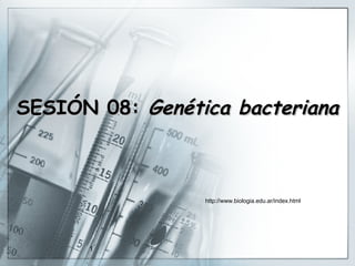 SESIÓN 08:  Genética bacteriana http://www.biologia.edu.ar/index.html 