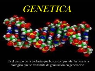 GENETICA




Es el campo de la biología que busca comprender la herencia
  biológica que se transmite de generación en generación.
 