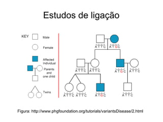 Estudos de ligação

Figura: http://www.phgfoundation.org/tutorials/variantsDisease/2.html

 
