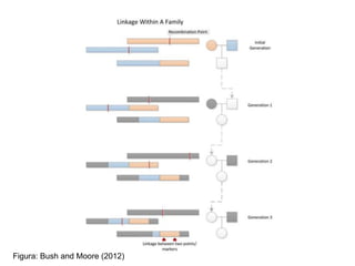Figura: Bush and Moore (2012)

 