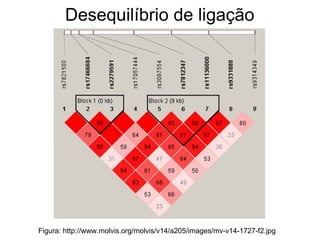 Desequilíbrio de ligação

Figura: http://www.molvis.org/molvis/v14/a205/images/mv-v14-1727-f2.jpg

 