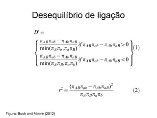 Desequilíbrio de ligação

Figura: Bush and Moore (2012)

 