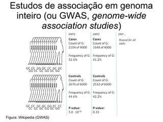 Estudos de associação em genoma
inteiro (ou GWAS, genome-wide
association studies)

Figura: Wikipedia (GWAS)

 