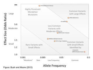 Figura: Bush and Moore (2012)

 