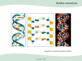 GENETICA - engenharia genetica.ppt