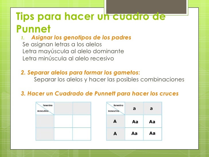 Genetica estudio grado 8° y 9°