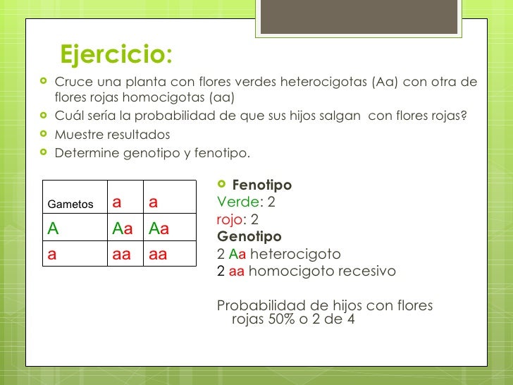 Resultado de imagen de Leyes de mendel frecuencia de plantas heterocigoticas