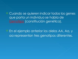 Cuando se quieren indicar todos los genes que porta un individuo se habla de  Genotipo  (constitución genética). En el ejemplo anterior los alelos AA, Aa, y aa representan tres genotipos diferentes.   