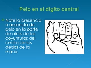 Note la presencia o ausencia de pelo en la parte de atrás de las coyunturas del centro de los dedos de la mano.   