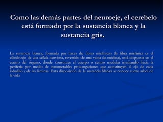 Como las demás partes del neuroeje, el cerebelo está formado por la sustancia blanca y la sustancia gris.  La sustancia blanca, formada por haces de fibras mielínicas (la fibra mielínica es el cilindroeje de una célula nerviosa, revestido de una vaina de mielina), está dispuesta en el centro del órgano, donde constituye el cuerpo o centro medular irradiando hacia la periferia por medio de innumerables prolongaciones que constituyen el eje de cada lobulillo y de las láminas. Esta disposición de la sustancia blanca se conoce como arbol de la vida  