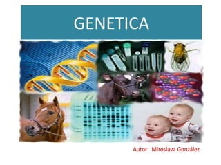 GENETICA




      Autor: Miroslava González
 