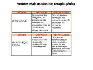 Vetores mais usados em terapia gênica