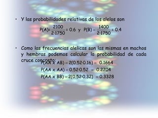 Y las probabilidades relativas de los alelos son Como las frecuencias alelicas son las mismas en machos y hembras podemos calcular la probabilidad de cada cruce concreto: 