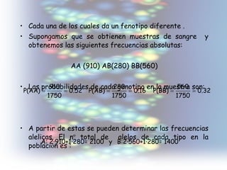 Cada una de los cuales da un fenotipo diferente . Supongamos que se obtienen muestras de sangre  y obtenemos las siguientes frecuencias absolutas:  AA (910) AB(280) BB(560) Las probabilidades de cada genotipo en la muestra son: A partir de estas se pueden determinar las frecuencias alelicas. El n º  total de  alelos de cada tipo en la poblaci ó n es : 
