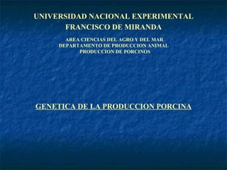 UNIVERSIDAD NACIONAL EXPERIMENTAL FRANCISCO DE MIRANDA AREA CIENCIAS DEL AGRO Y DEL MAR  DEPARTAMENTO DE PRODUCCION ANIMAL  PRODUCCION DE PORCINOS GENETICA DE LA PRODUCCION PORCINA 