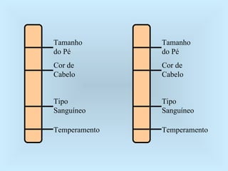 Tamanho do Pé Cor de Cabelo Tipo Sanguíneo Temperamento Tamanho do Pé Cor de Cabelo Tipo Sanguíneo Temperamento 
