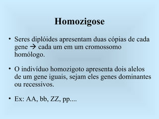 Homozigose Seres diplóides apresentam duas cópias de cada gene    cada um em um cromossomo homólogo. O indivíduo homozigoto apresenta dois alelos de um gene iguais, sejam eles genes dominantes ou recessivos. Ex: AA, bb, ZZ, pp.... 