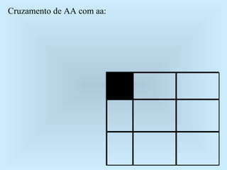Cruzamento de AA com aa: 