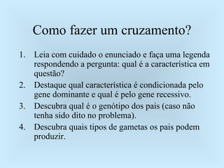 Como fazer um cruzamento? Leia com cuidado o enunciado e faça uma legenda respondendo a pergunta: qual é a característica em questão? Destaque qual característica é condicionada pelo gene dominante e qual é pelo gene recessivo. Descubra qual é o genótipo dos pais (caso não tenha sido dito no problema). Descubra quais tipos de gametas os pais podem produzir. 