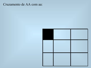 Cruzamento de AA com aa:
 