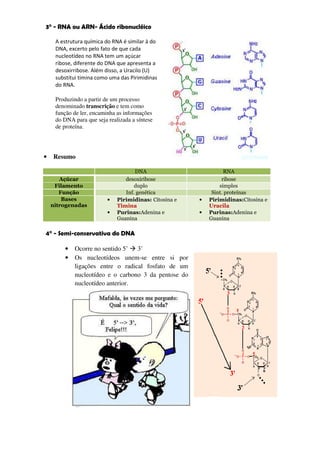3° - RNA ou ARN- Ácido ribonucléico

     A estrutura química do RNA é similar à do
     DNA, excerto pelo fato de que cada
     nucleotídeo no RNA tem um açúcar
     ribose, diferente do DNA que apresenta a
     desoxirribose. Além disso, a Uracilo (U)
     substitui timina como uma das Pirimidinas
     do RNA.

     Produzindo a partir de um processo
     denominado transcrição e tem como
     função de ler, encaminha as informações
     do DNA para que seja realizada a síntese
     de proteína.




•   Resumo

                                     DNA                          RNA
       Açúcar                    desoxiribose                    ribose
     Filamento                       duplo                      simples
       Função                    Inf. genética               Sint. proteínas
        Bases             •   Pirimidinas: Citosina e   •   Pirimidinas:Citosina e
    nitrogenadas              Timina                        Uracila
                          •   Purinas:Adenina e         •   Purinas:Adenina e
                              Guanina                       Guanina

4° - Semi-conservativa do DNA

        •   Ocorre no sentido 5’ 3’
        •   Os nucleotídeos unem-se entre si por
            ligações entre o radical fosfato de um
            nucleotídeo e o carbono 3 da pentose do
            nucleotídeo anterior.
 