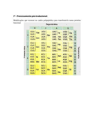 7° - Processamento pós
      rocessamento pós-traducional:

Modificações que ocorrem na cadeia polipeptídica para transformá la numa proteína
                                                      transformá-la
funcional.
 