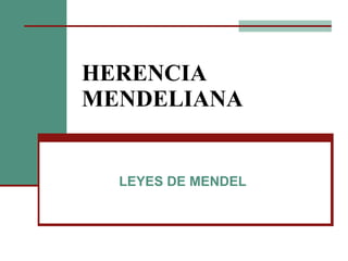 HERENCIA MENDELIANA LEYES DE MENDEL 