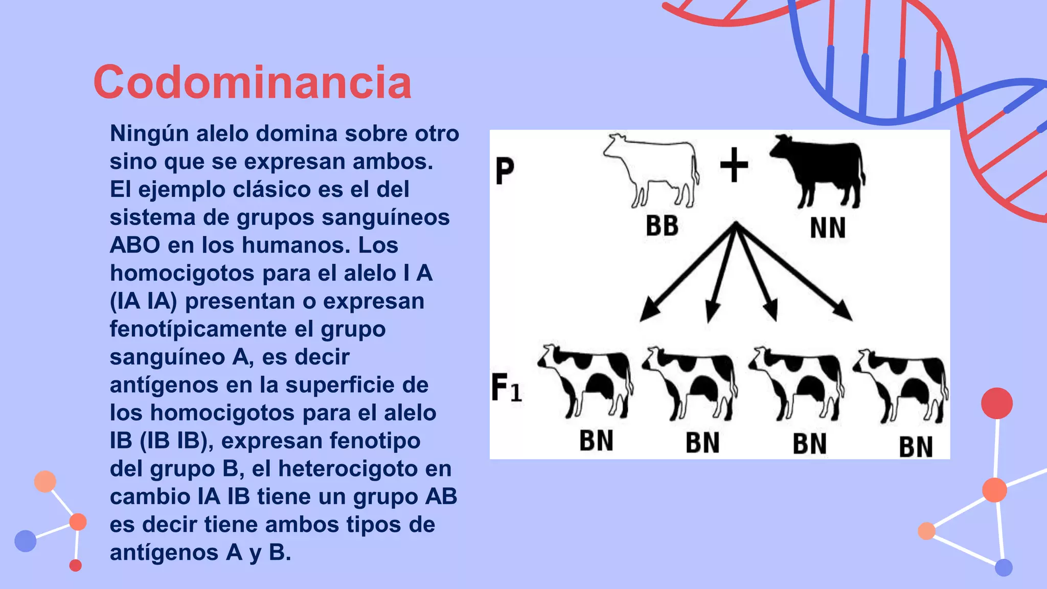 Codominante GENETICA1 (1).pptx