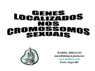 MARIEL HIDALGO [email_address] www.biodicas.com Porto Alegre/RS GENES  LOCALIZADOS NOS  CROMOSSOMOS SEXUAIS 