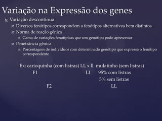  Variação descontínua
 Diversos fenótipos correspondem a fenótipos alternativos bem distintos
 Norma de reação gênica
 Gama de variações fenotípicas que um genótipo pode apresentar
 Penetrância gênica
 Porcentagem de indivíduos com determinado genótipo que expressa o fenótipo
correspondente
Ex: carioquinha (com listras) LL x ll mulatinho (sem listras)
F1 Ll 95% com listras
5% sem listras
F2 LL
Variação na Expressão dos genes
 