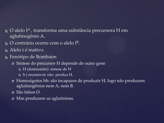  O alelo IA , transforma uma substância precursora H em
aglutinogênio A.
 O contrário ocorre com o alelo IB.
 Alelo i é inativo.
 Fenótipo de Bombaim
 Síntese do precursor H depende de outro gene
 H (dominante): síntese de H
 h ( recessivo): não produz H.
 Homozigotos hh: são incapazes de produzir H, logo não produzem
aglutinogênios nem A, nem B.
 São falsos O.
 Mas produzem as aglutininas.
 
