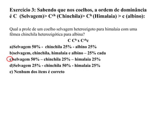 Exercício 3: Sabendo que nos coelhos, a ordem de dominância
é C (Selvagem)> Cch (Chinchila)> Ch (Himalaia) > c (albino):
Qual a prole de um coelho selvagem heterozigoto para himalaia com uma
fêmea chinchila heterozigótica para albina?
C Ch x Cchc
a)Selvagem 50% - chinchila 25% - albino 25%
b)selvagem, chinchila, himalaia e albino – 25% cada
c)selvagem 50% – chinchila 25% – himalaia 25%
d)Selvagem 25% - chinchila 50% - himalaia 25%
e) Nenhum dos itens é correto
 