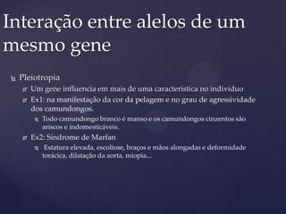  Pleiotropia
 Um gene influencia em mais de uma característica no indivíduo
 Ex1: na manifestação da cor da pelagem e no grau de agressividade
dos camundongos.
 Todo camundongo branco é manso e os camundongos cinzentos são
ariscos e indomesticáveis.
 Ex2: Síndrome de Marfan
 Estatura elevada, escoliose, braços e mãos alongadas e deformidade
torácica, dilatação da aorta, miopia...
Interação entre alelos de um
mesmo gene
 