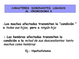 CARACTERES DOMINANTES LIGADOSCARACTERES DOMINANTES LIGADOS
AL CROMOSOMA XAL CROMOSOMA X
-- Los machos afectados transmiten la “condición “Los machos afectados transmiten la “condición “
aa todas sus hijastodas sus hijas, pero a, pero a ningún hijoningún hijo
- Las hembras afectadas transmiten la- Las hembras afectadas transmiten la
condición a lacondición a la mitad de sus descendientesmitad de sus descendientes tantotanto
machos como hembrasmachos como hembras
Ej.: HipofosfatemiaEj.: Hipofosfatemia
 
