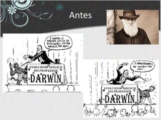 Antes
 