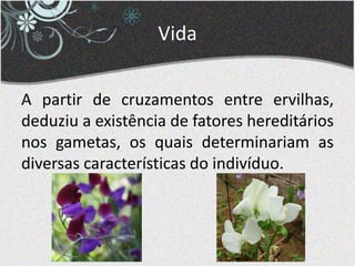 Vida
A partir de cruzamentos entre ervilhas,
deduziu a existência de fatores hereditários
nos gametas, os quais determinariam as
diversas características do indivíduo.
 
