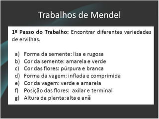 Trabalhos de Mendel
 