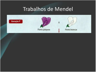 Trabalhos de Mendel
 