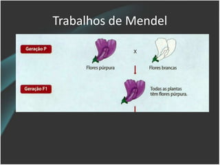 Trabalhos de Mendel
 