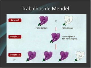 Trabalhos de Mendel
 