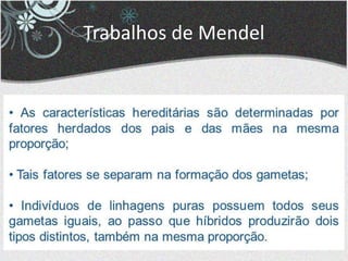 Trabalhos de Mendel
 