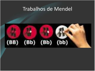 Trabalhos de Mendel
 