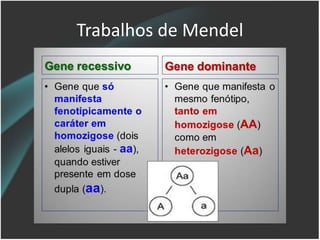 Trabalhos de Mendel
 