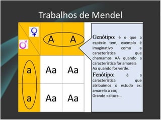 Trabalhos de Mendel
 