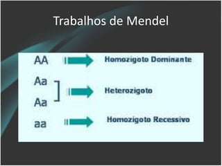 Trabalhos de Mendel
 