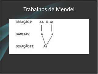 Trabalhos de Mendel
 