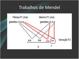 Trabalhos de Mendel
 