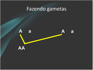 Fazendo gametas
A a A a
AA
 
